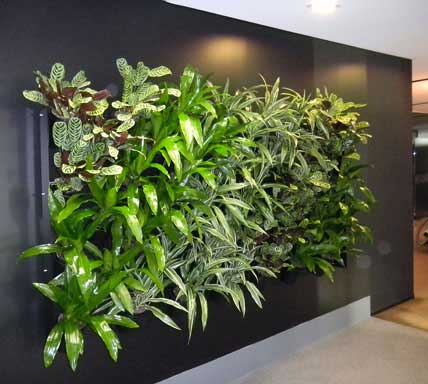 Parede com Plantas