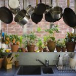 cozinha com vasos de plantas