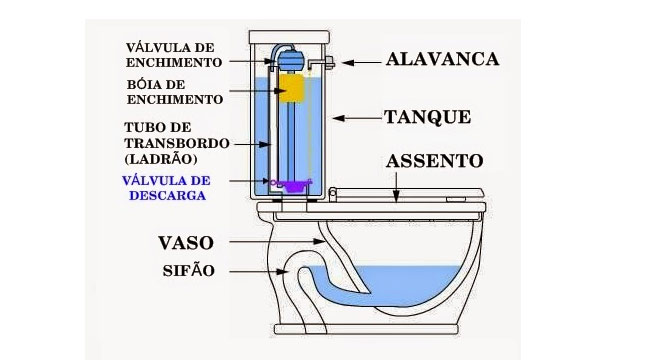 estrutura vaso sanitário