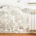 Dicas para eliminar o mofo